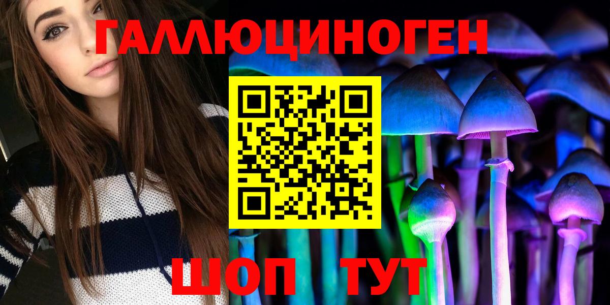 Псилоцибиновые грибы Psilocybe Сертолово