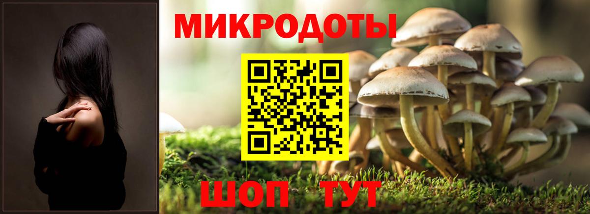 Галлюциногенные грибы прущие грибы  Вход с VPN  Сертолово  Галлюциногенные грибы мухоморы 